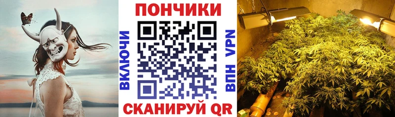 Бошки марихуана тримм  Купить закладки  Михайловск 
